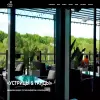 Устрицы&Танцы